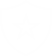 Shield icon